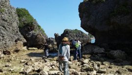 ぱかちゃんちゃんの2018/1/17 (水) 10:52のブログ