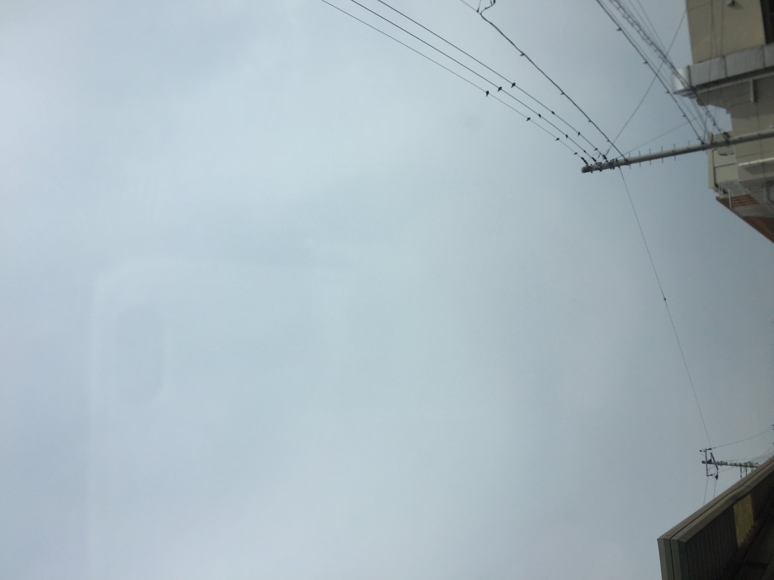 なんだかどんより雲だけど