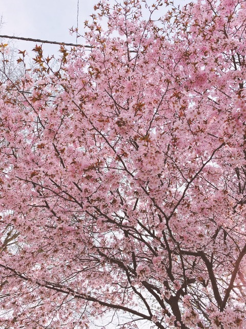 5月はayaの、、、