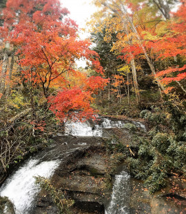 autumn