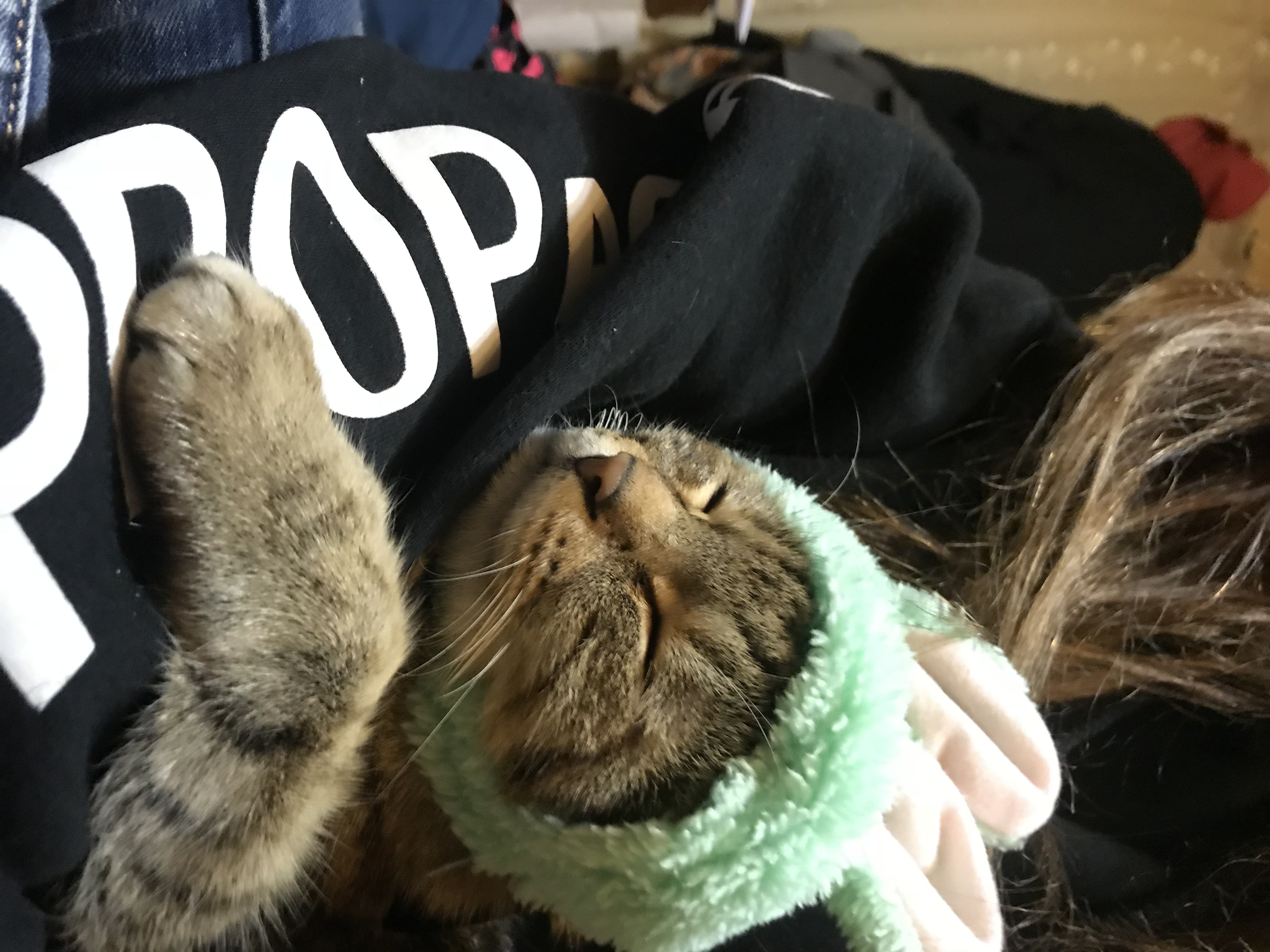 休日の日♪。.:＊・゜