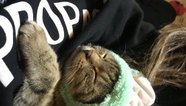 ★ちなたん★ちゃんの2018/2/11 (日) 00:19のブログ