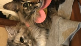 ★ちなたん★ちゃんの2018/2/23 (金) 18:09のブログ