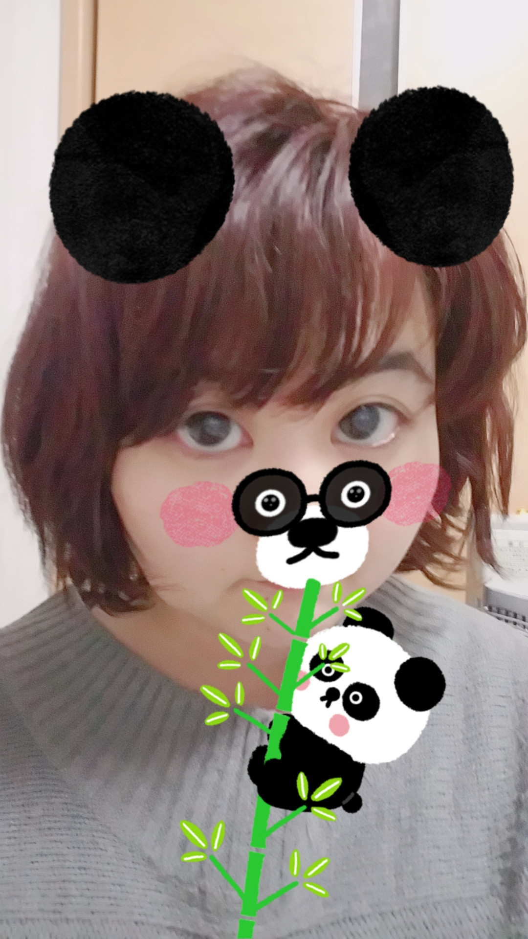 登録してみました。