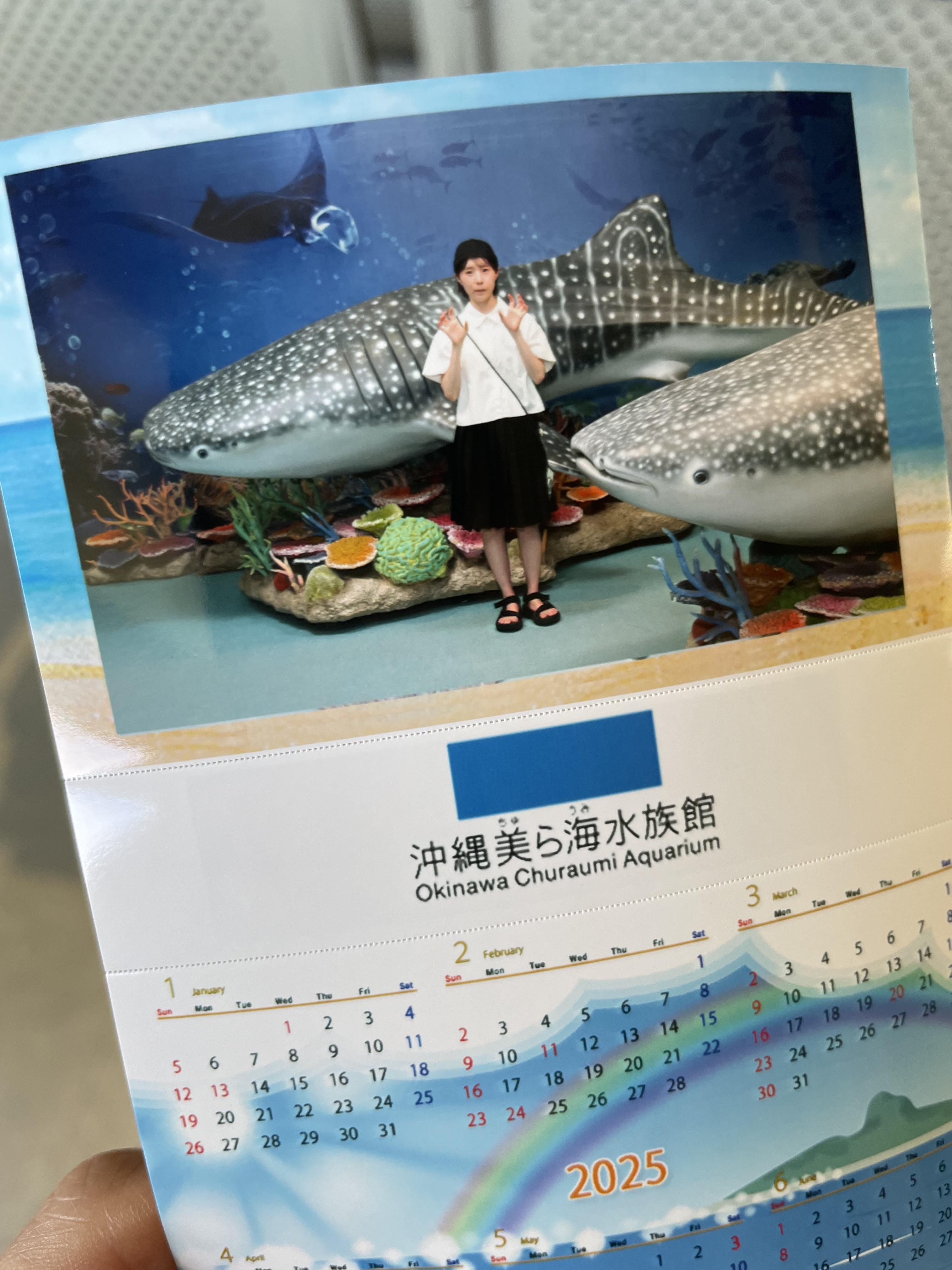 天使のはね梅味