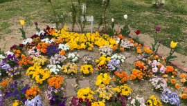 Chieちゃんの2018/4/6 (金) 08:41のブログ