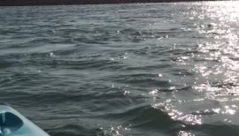 黒蜜ちゃんの2018/3/27 (火) 04:20のブログ