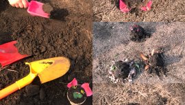 黒蜜ちゃんの2018/3/30 (金) 00:52のブログ