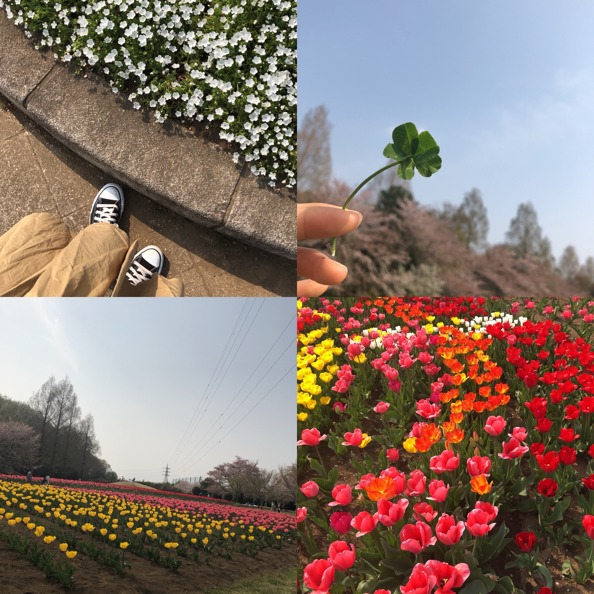 ぽかぽか陽気〜★