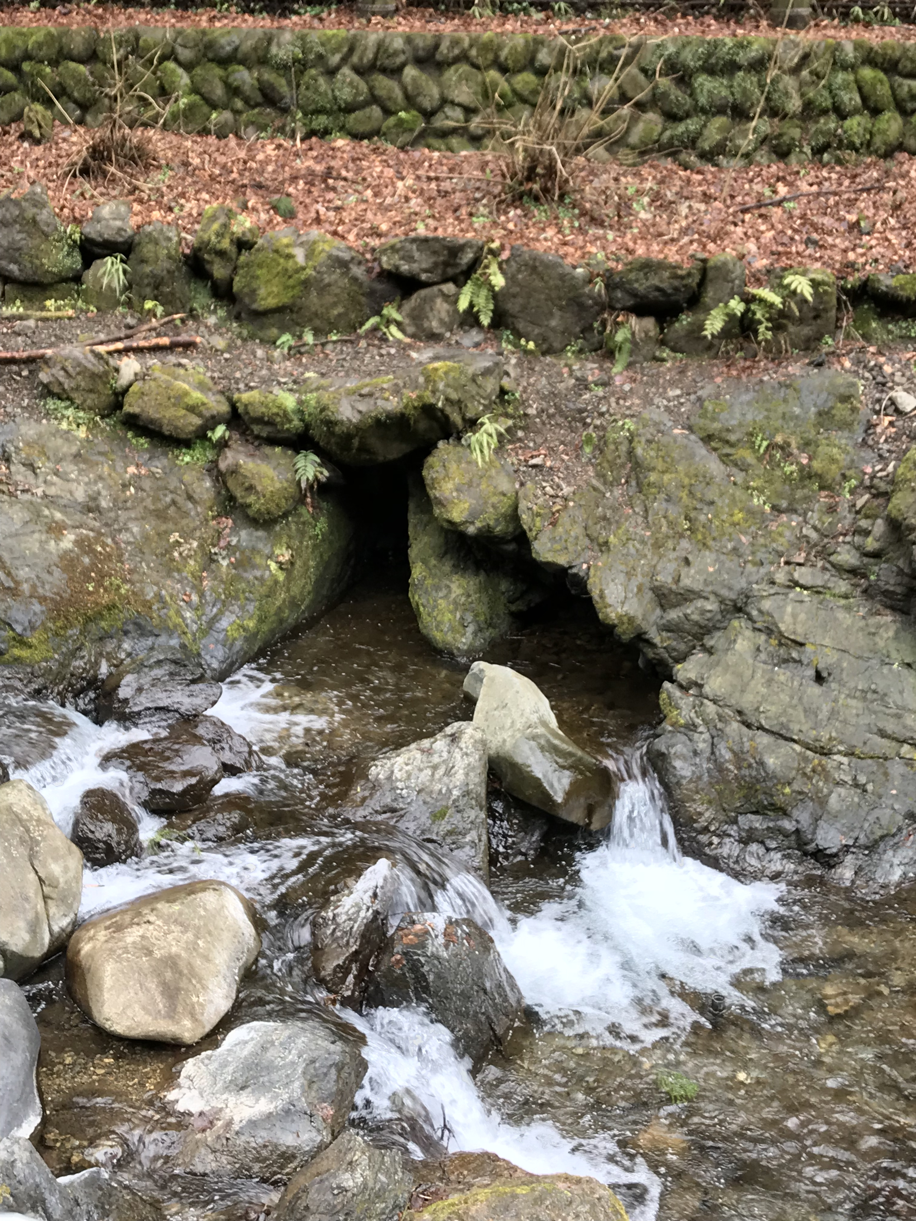 日にちが空いてしまいました…