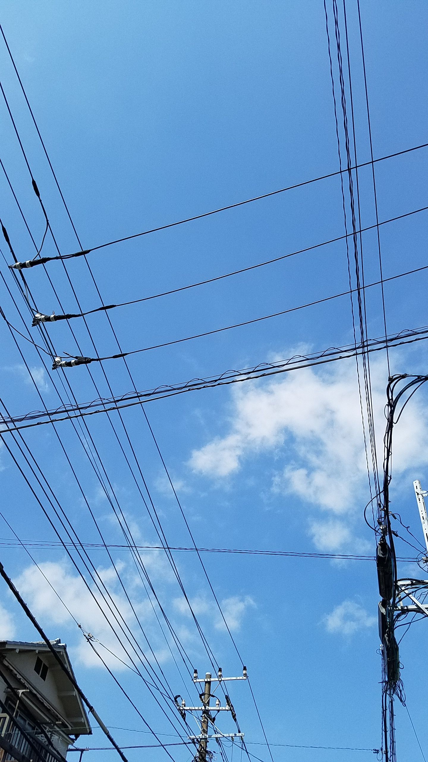 良い天気ですねー(*´ω｀*)