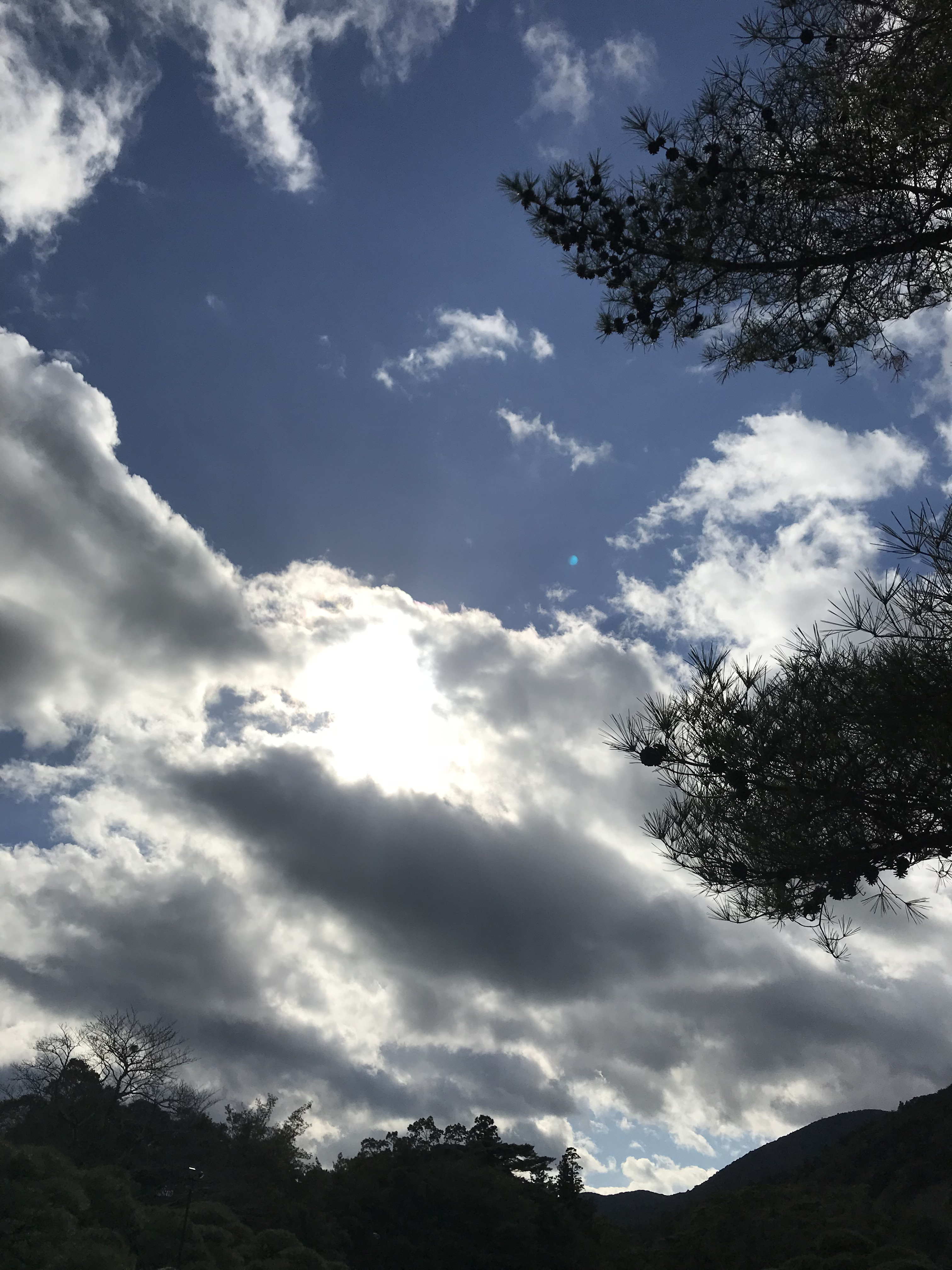 気付けばそこは………