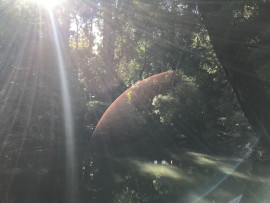 ヤタちゃんの2018/4/6 (金) 20:13のブログ