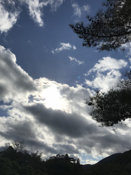 ヤタちゃんの2018/4/3 (火) 21:40のブログ