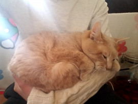 ヤタちゃんの2018/4/9 (月) 16:50のブログ