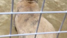 りく@コスちゃんの2018/5/1 (火) 03:47のブログ