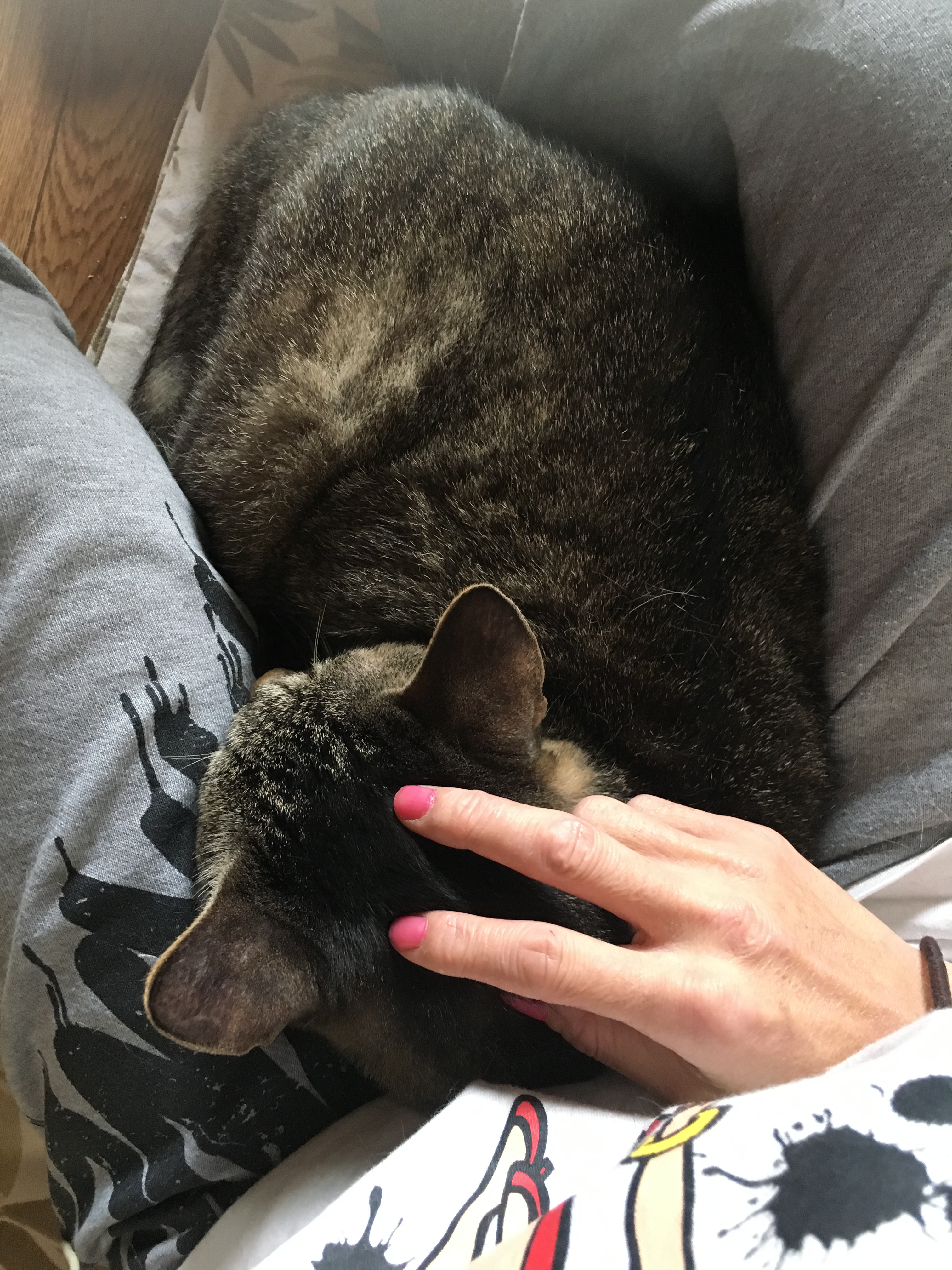 追伸：ハマってます！(^◇^;)?