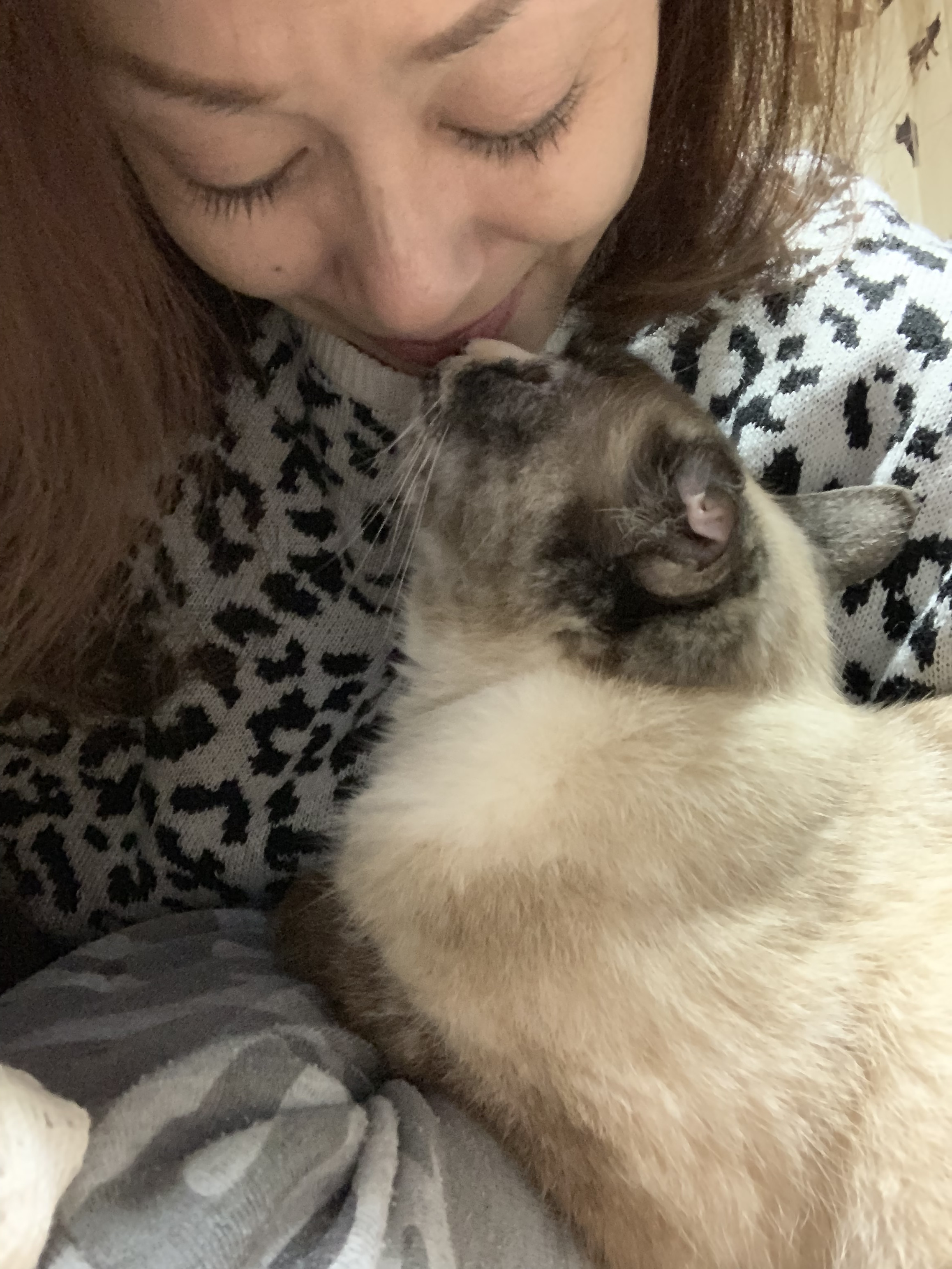 おはようございます(=^ェ^=)