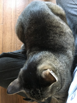 yuhちゃんの2018/6/3 (日) 10:38のブログ