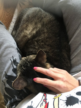 yuhちゃんの2018/6/15 (金) 11:27のブログ