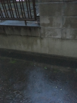 あやなーちゃんの2018/5/19 (土) 20:26のブログ