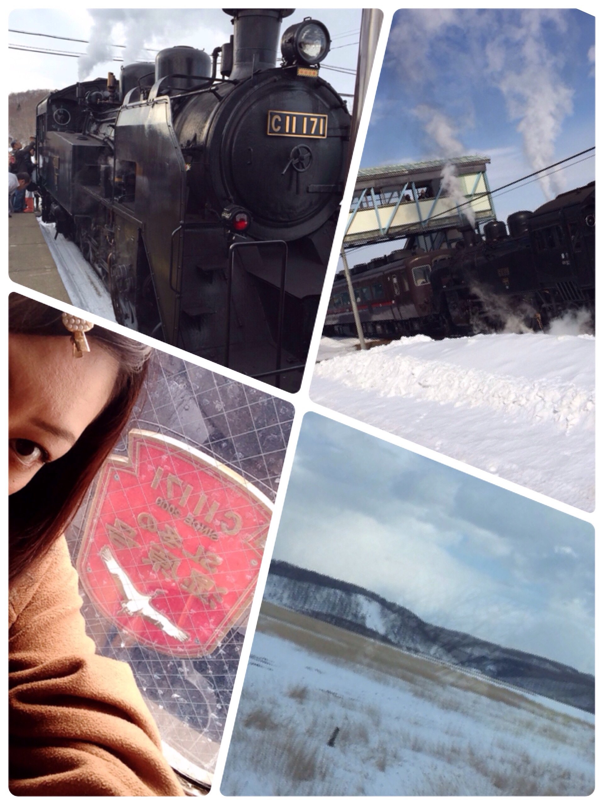 ＳＬ〜冬の湿原地