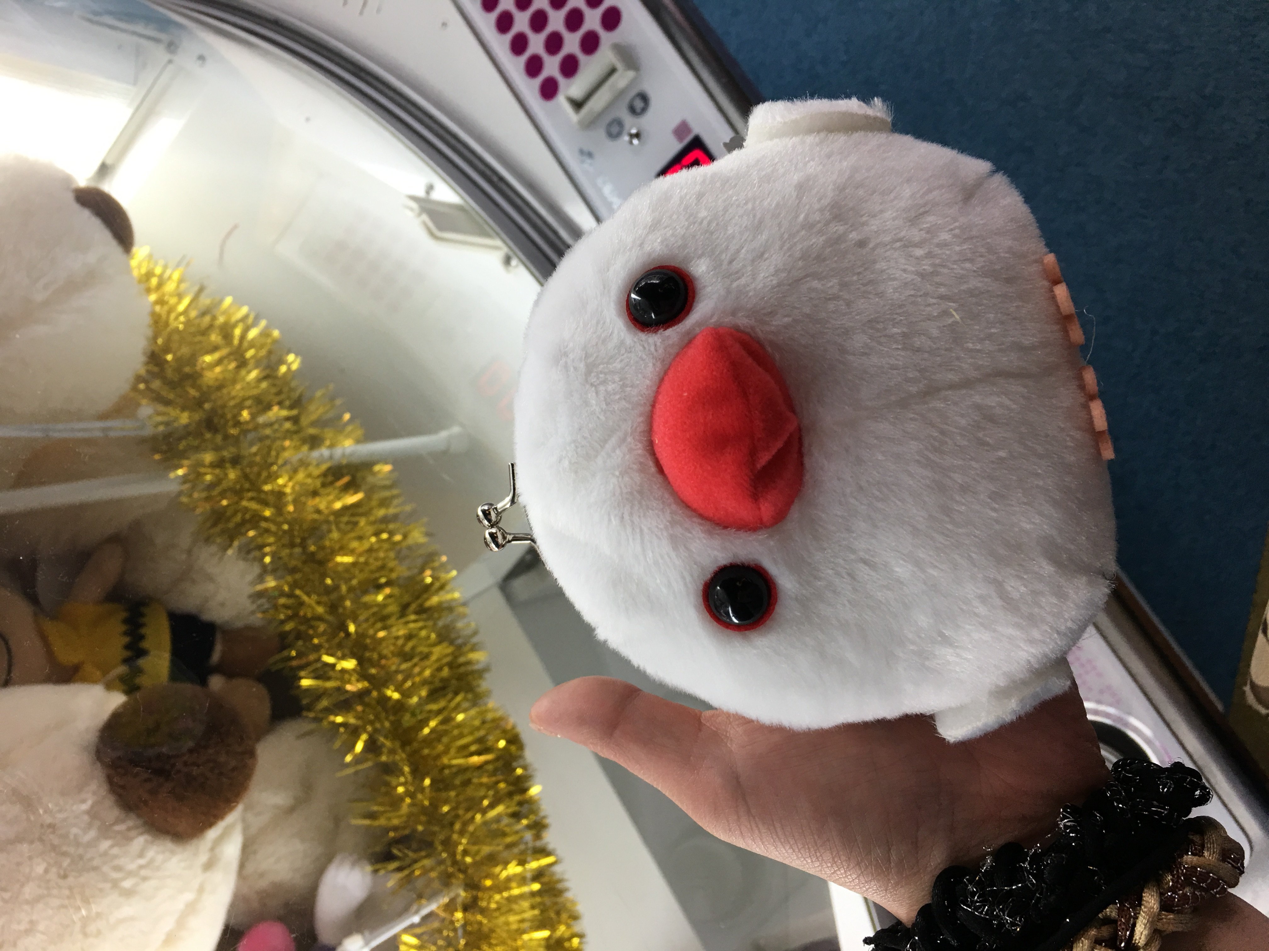 きゃぴん