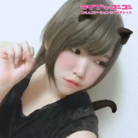 にゃんにゃーん