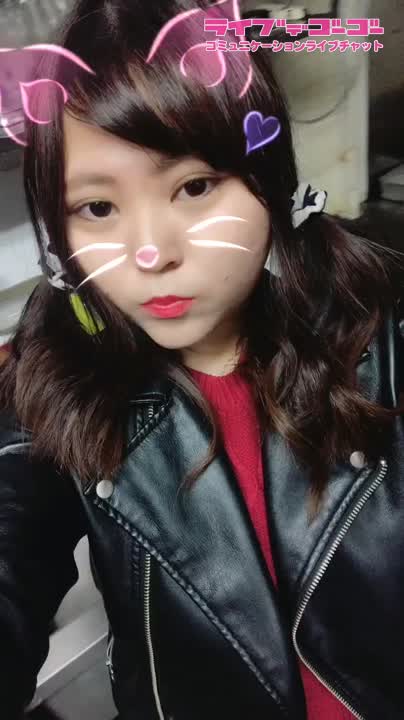 今日は