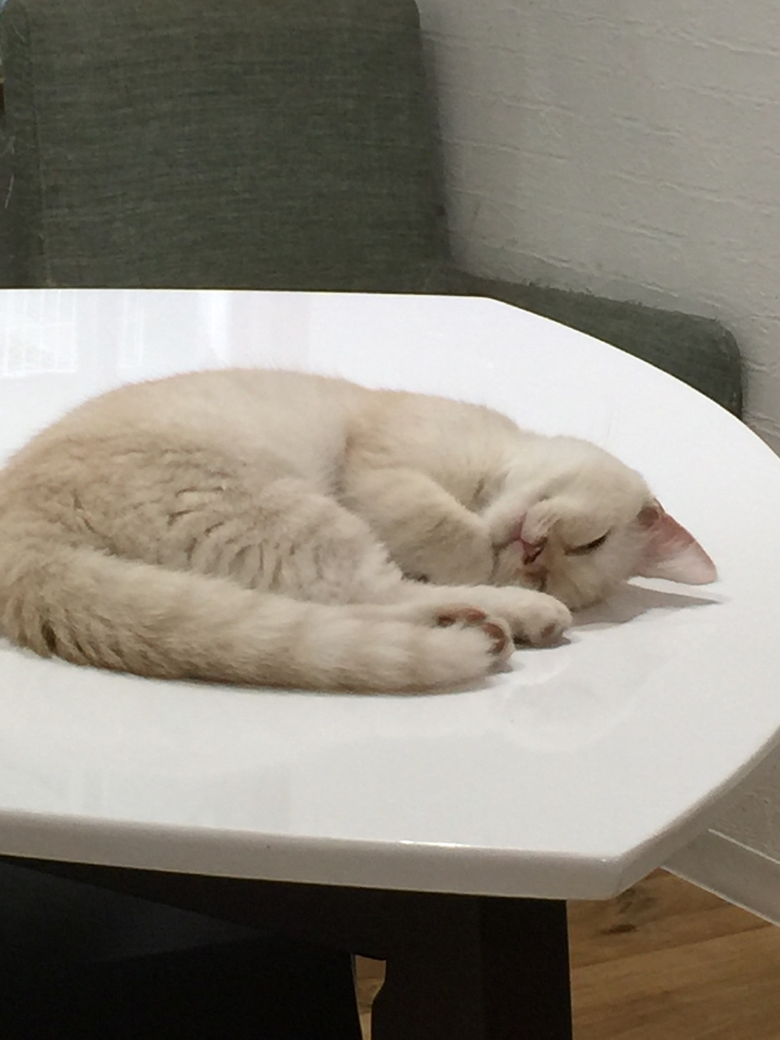 おはようございます☆