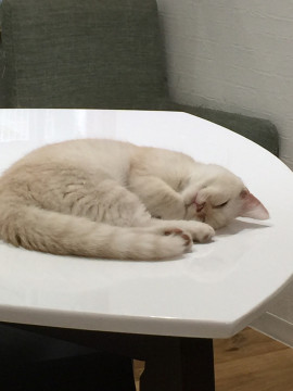 咲。・°〆ちゃんの2021/2/23 (火) 08:05のブログ