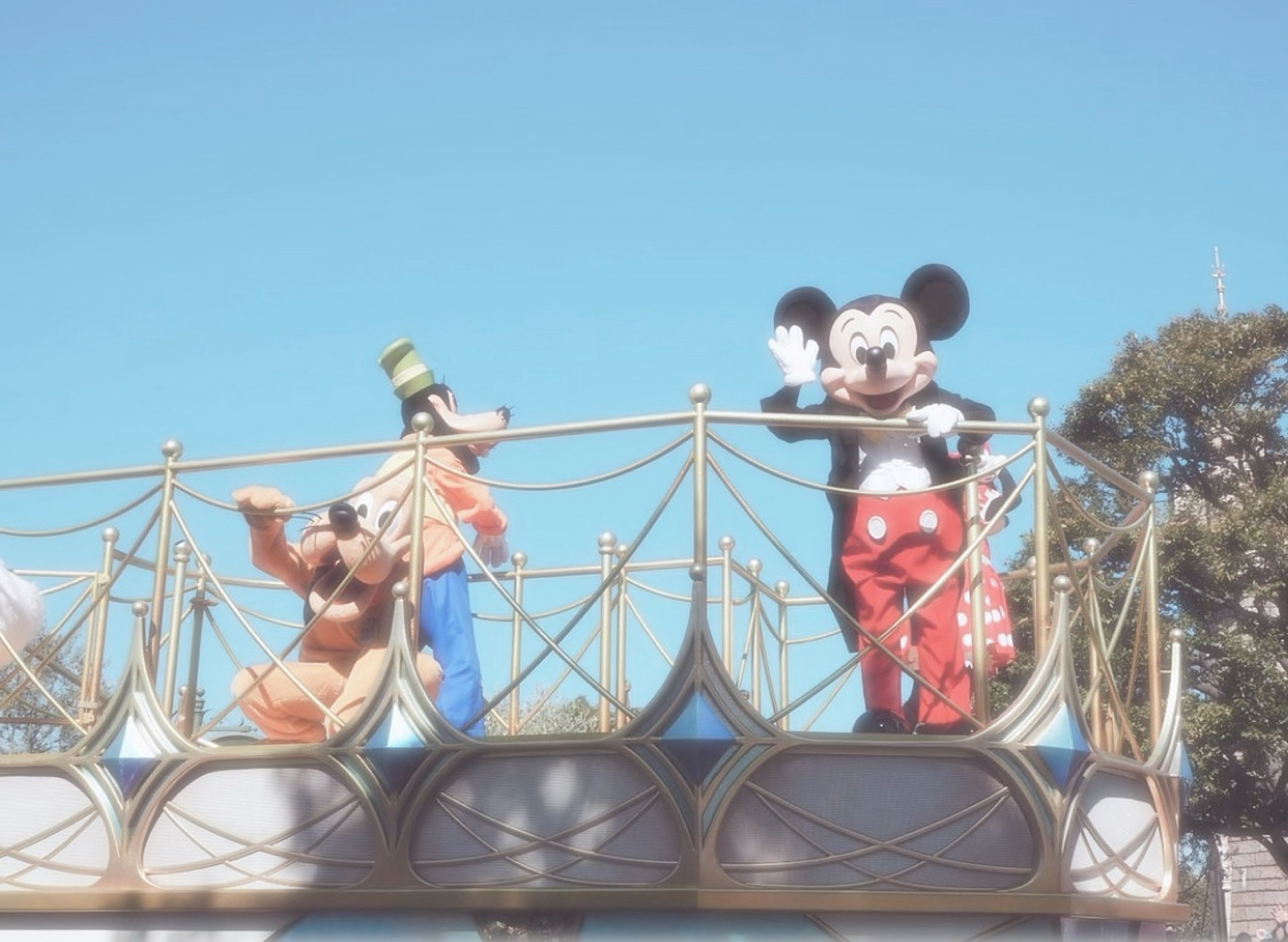 お久しぶりです?