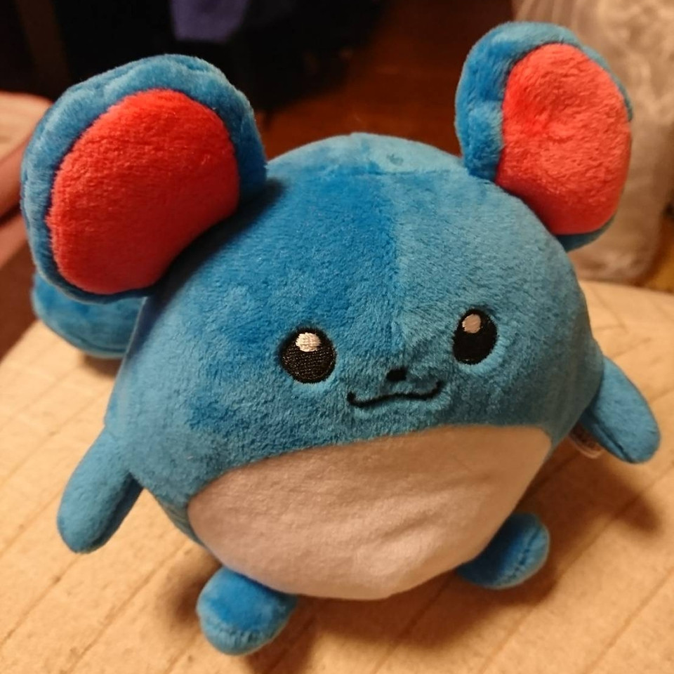 ポケモンGO♪ヒノアラシ♪