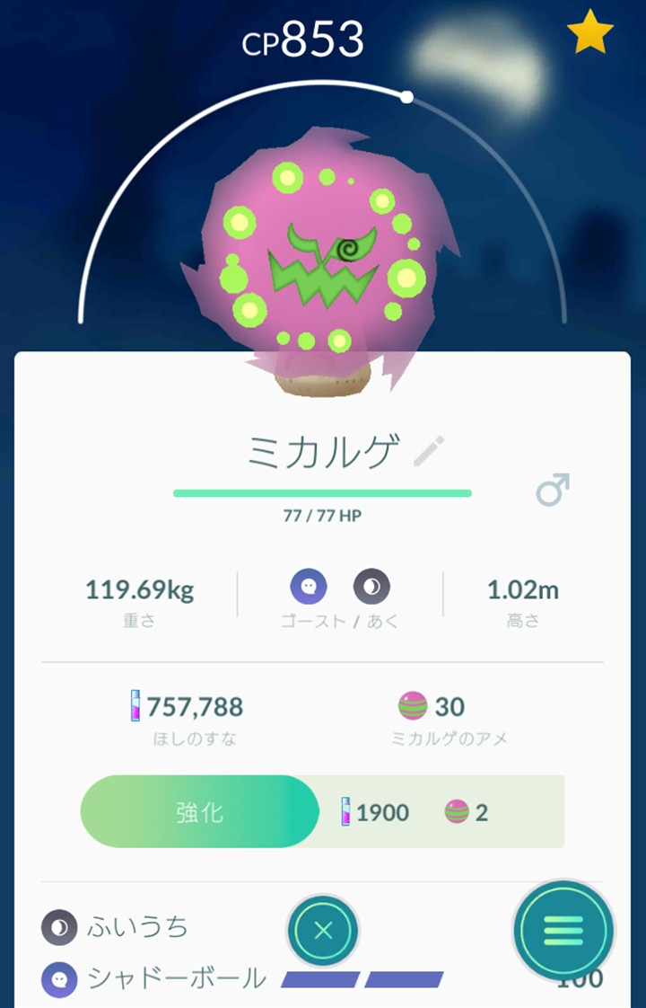 ポケモンGO♪スペシャル♪