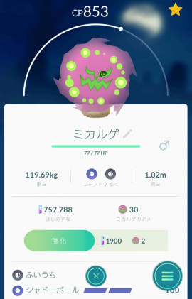 ポケモンGO♪スペシャル♪