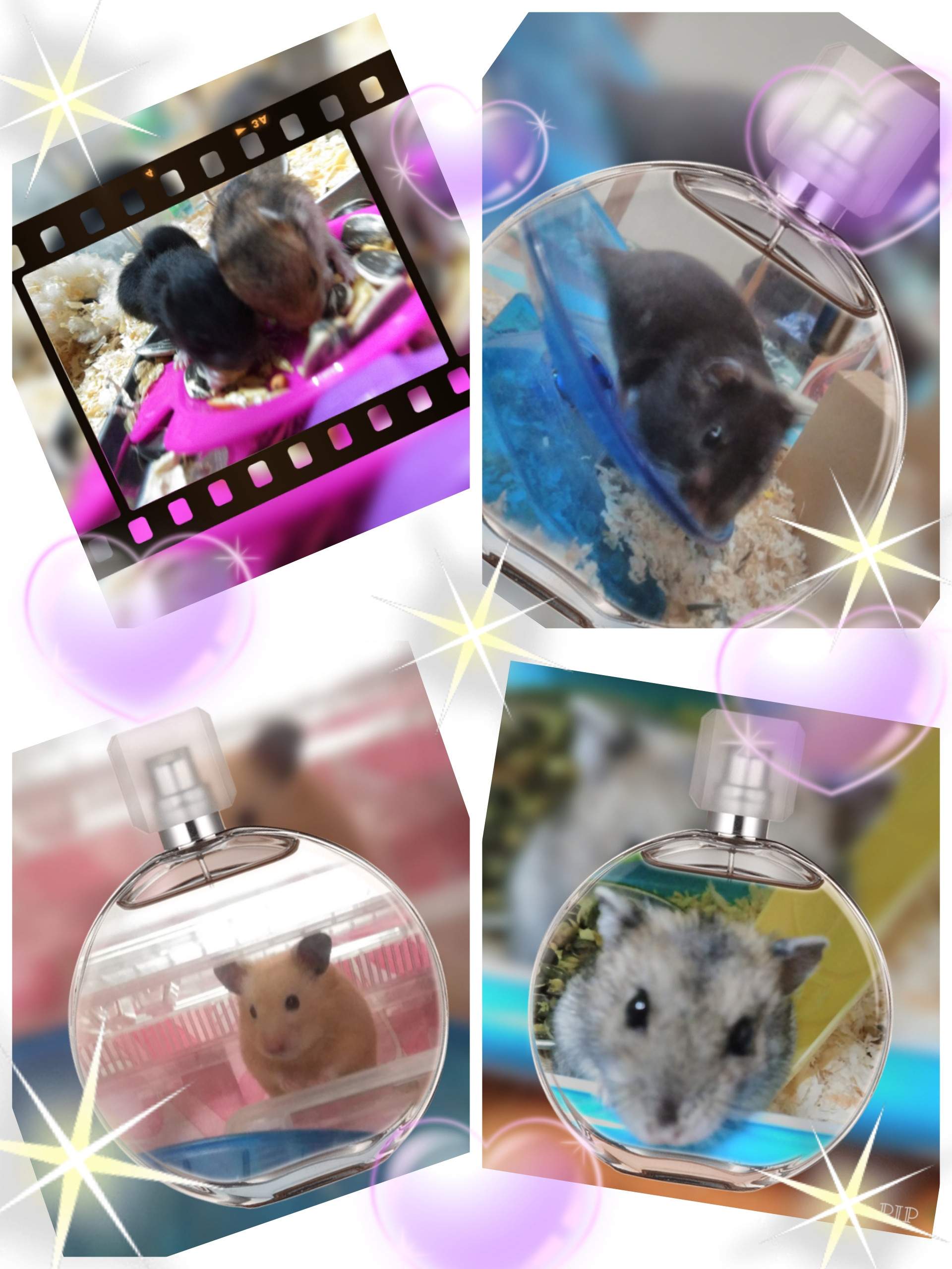 成長ヾ(｡>?<｡)ﾉﾞ?*。