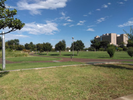 リエポンヌちゃんの2018/9/14 (金) 07:00のブログ