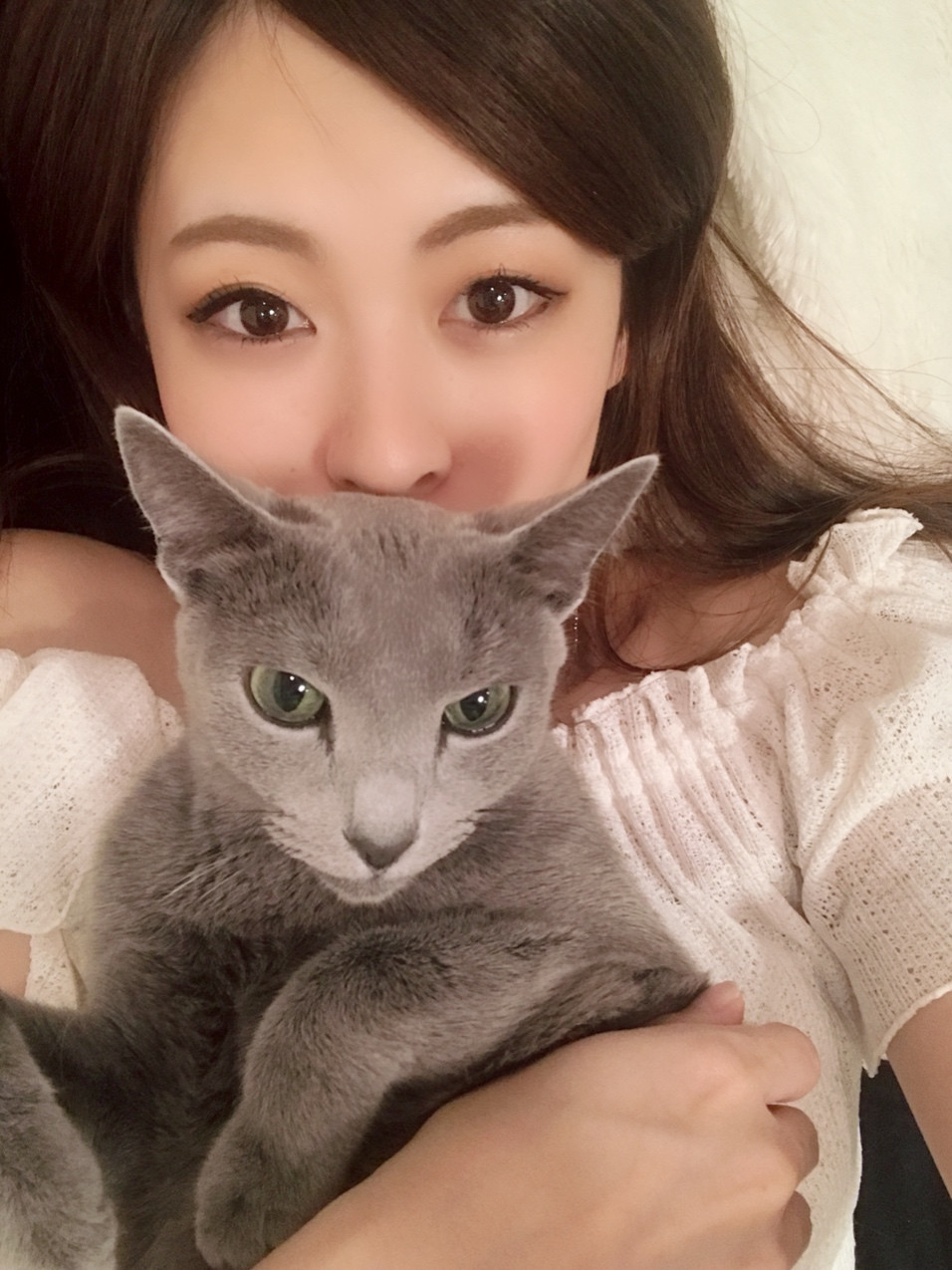 猫で暖をとる。の巻