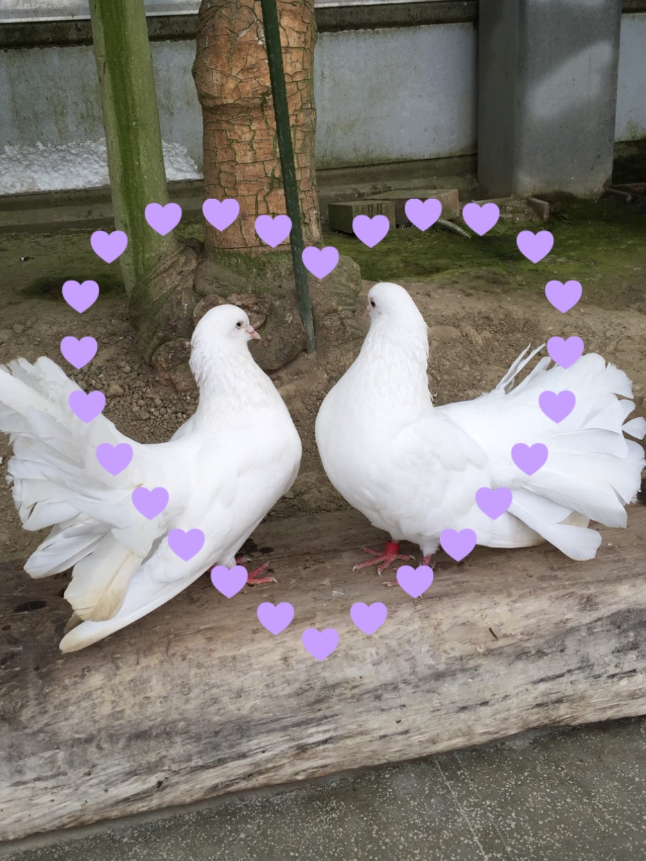 まだまだ