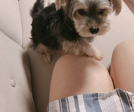 みわちゃんの2018/10/10 (水) 02:57のブログ