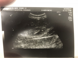 みやびちゃんの2020/4/22 (水) 11:06のブログ