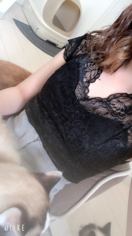 みやびちゃんの2019/8/13 (火) 18:51のブログ