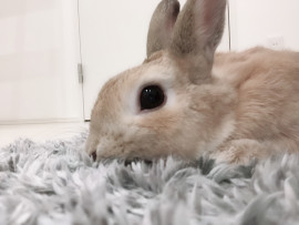 みやびちゃんの2018/10/26 (金) 13:16のブログ