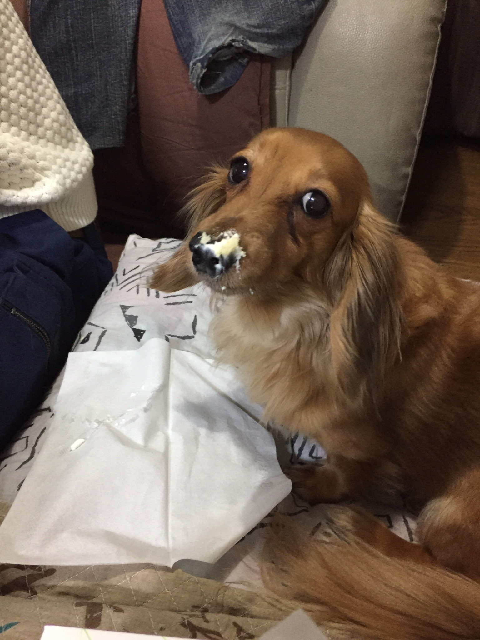 私の相方です。