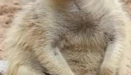 ともかちゃんの2019/1/5 (土) 19:12のブログ