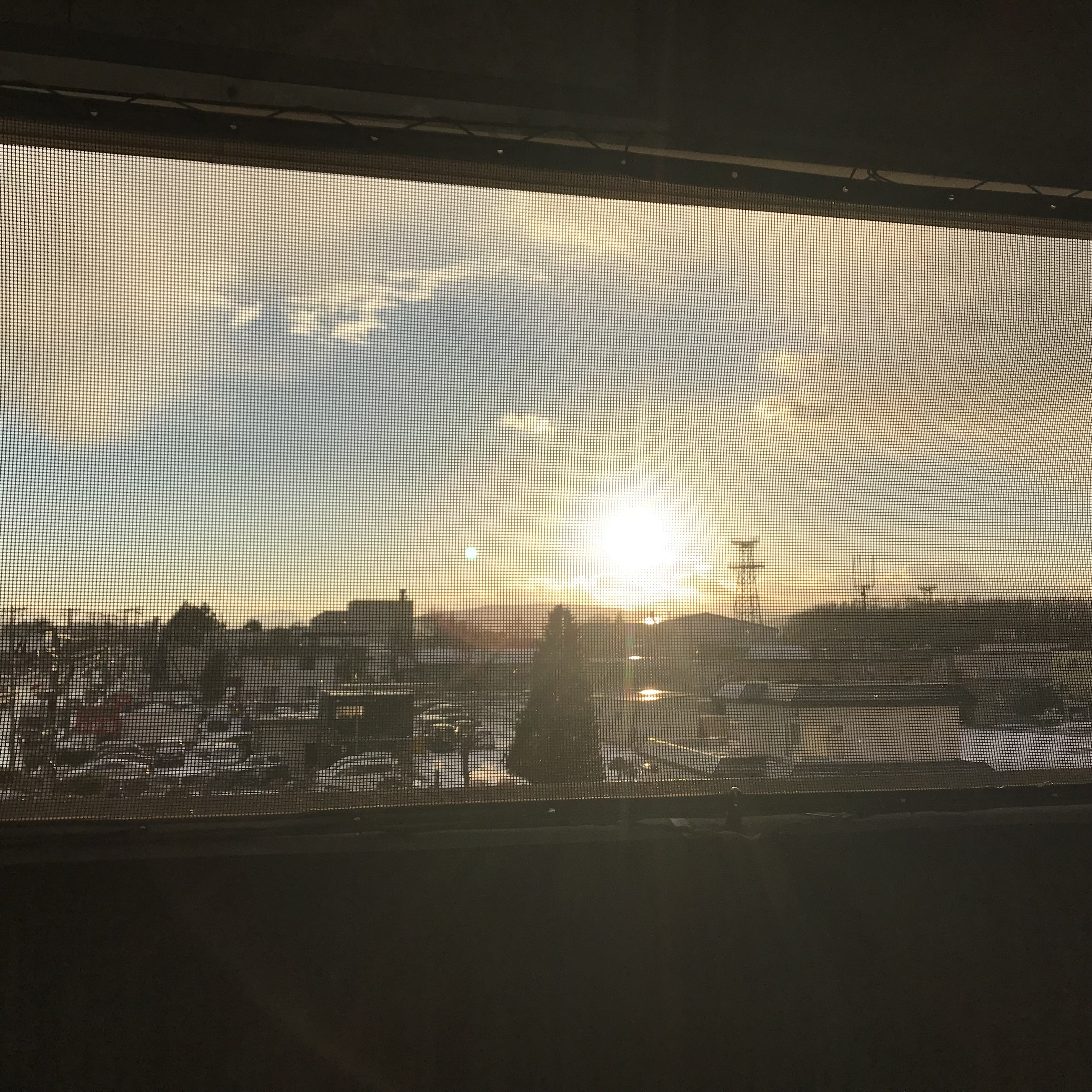 景色見るのすごく好き