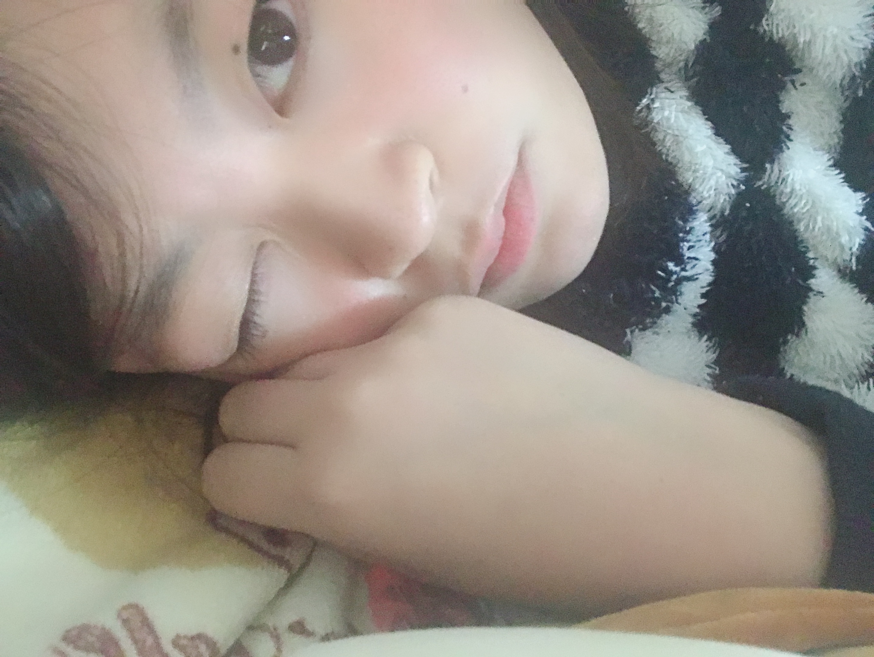 おはようございます?