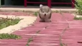 みねちゃんの2019/3/25 (月) 20:14のブログ