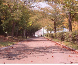 ブルーベリーちゃんの2019/5/18 (土) 17:26のブログ