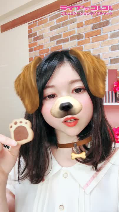 犬のクッキー♪